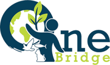 logo onebridge