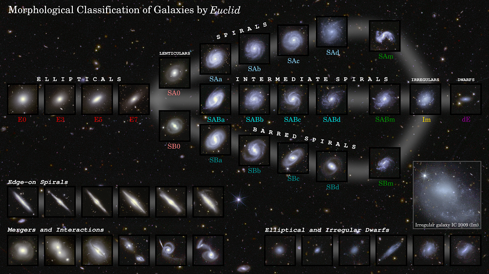 Le schéma de classification morphologique des galaxies établi avec les données d'Euclid. Version interactive. Crédits image : ESA/Euclid/Euclid Consortium/NASA, diagramme par J.-C. Cuillandre, L. Quilley, F. Marleau.