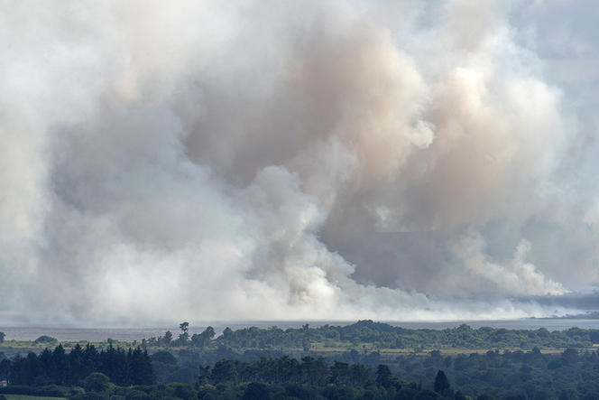 feu de forêt