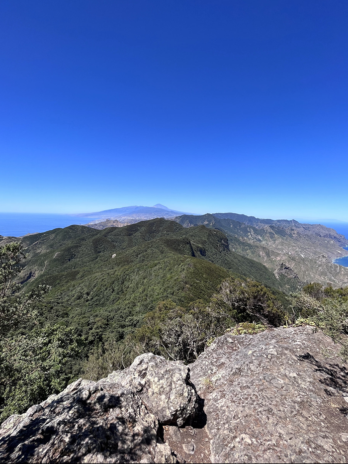 Le massif d'Anaga préserve les forêts emblématiques de Ténérife face au changement climatique, à la modification d’usage des sols et aux invasions biologiques. © Jairo Patiño