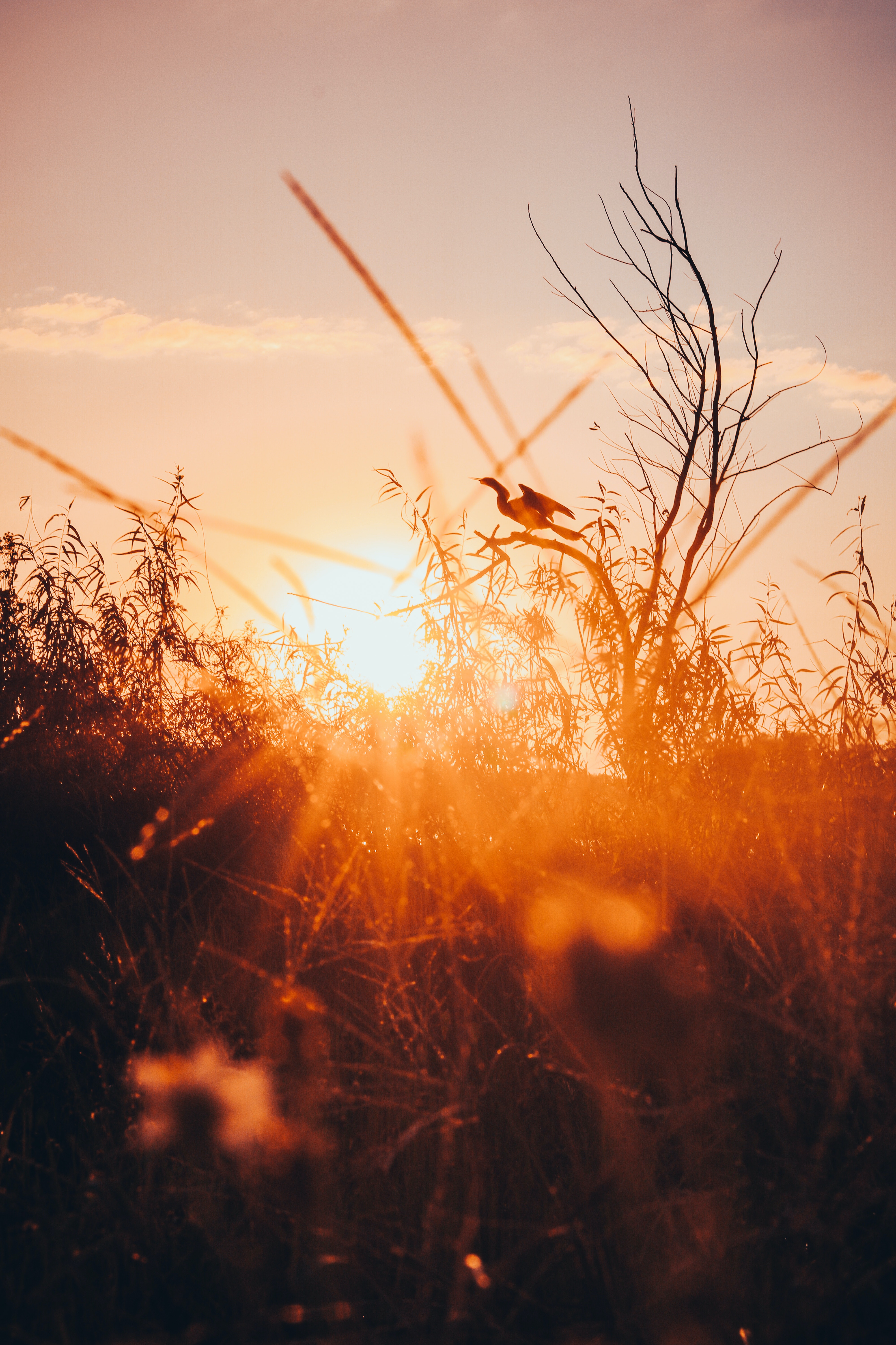 coucher de soleil